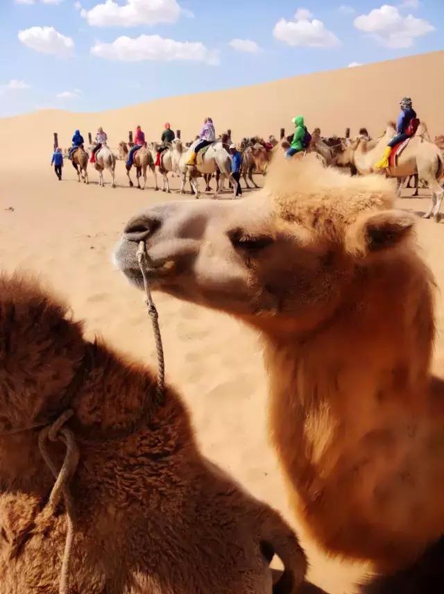 包头周边最好玩的地方有哪些景点，包头人不得不去的几个地方