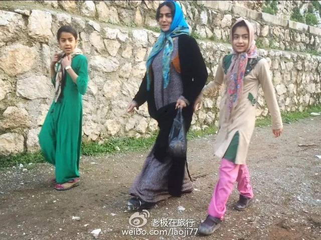 北极熊抓企鹅2，哪里可以参观北极熊（企鹅和北极熊为什么不能够生活在一起）
