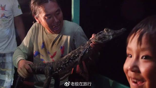 北极熊抓企鹅2，哪里可以参观北极熊（企鹅和北极熊为什么不能够生活在一起）