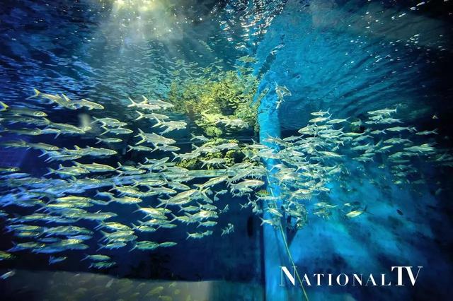 包头周边最好玩的地方有哪些景点，包头人不得不去的几个地方