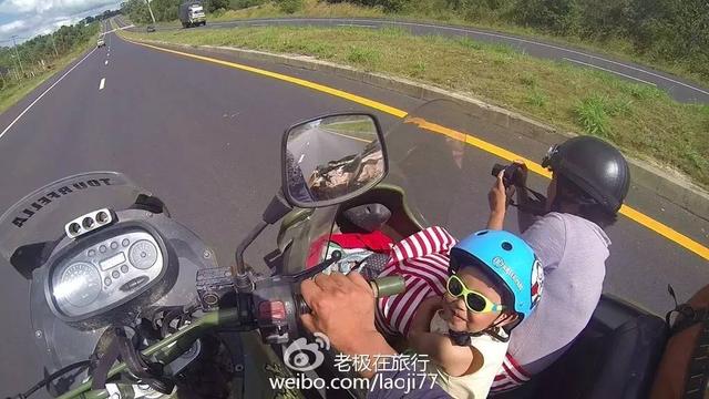 北极熊抓企鹅2，哪里可以参观北极熊（企鹅和北极熊为什么不能够生活在一起）
