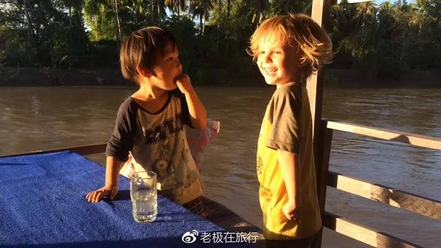 北极熊抓企鹅2，哪里可以参观北极熊（企鹅和北极熊为什么不能够生活在一起）