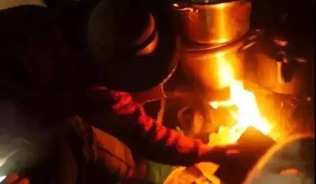 北极熊抓企鹅2，哪里可以参观北极熊（企鹅和北极熊为什么不能够生活在一起）