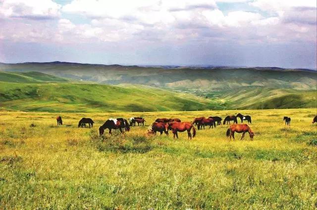 包头周边最好玩的地方有哪些景点，包头人不得不去的几个地方