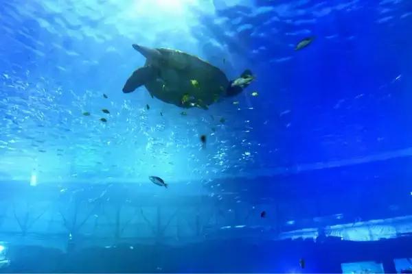 包头周边最好玩的地方有哪些景点，包头人不得不去的几个地方