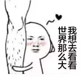 310开头的身份证，身份证开头310的是哪里的