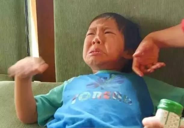 北极熊抓企鹅2，哪里可以参观北极熊（企鹅和北极熊为什么不能够生活在一起）