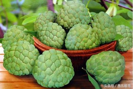 释迦功效和作用，释迦的营养价值以及要注意的事项