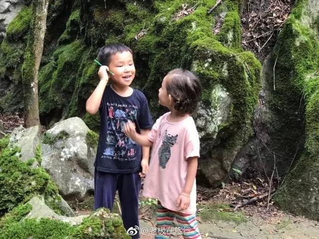 北极熊抓企鹅2，哪里可以参观北极熊（企鹅和北极熊为什么不能够生活在一起）