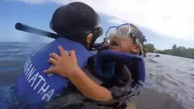 北极熊抓企鹅2，哪里可以参观北极熊（企鹅和北极熊为什么不能够生活在一起）