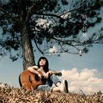 收集一些小众又好听的歌，这些小众好听的歌你听过吗