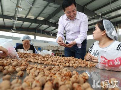 安徽省宁国市网，宣城宁国市推动制造业向高端化发展