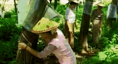 和一个抑郁症的人去旅游，裸辞白领的她为了他
