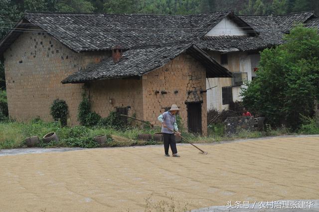五十年代晒谷场建造方法，还记得小时候的晒谷场吗