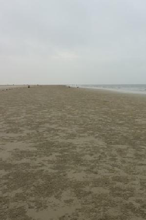 在广西银滩该怎样玩，广西冬日看海攻略︱一路看海
