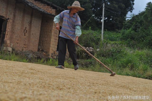 五十年代晒谷场建造方法，还记得小时候的晒谷场吗