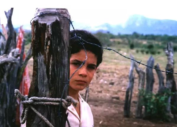 最震撼的公路电影，这10部震撼人心的公路片