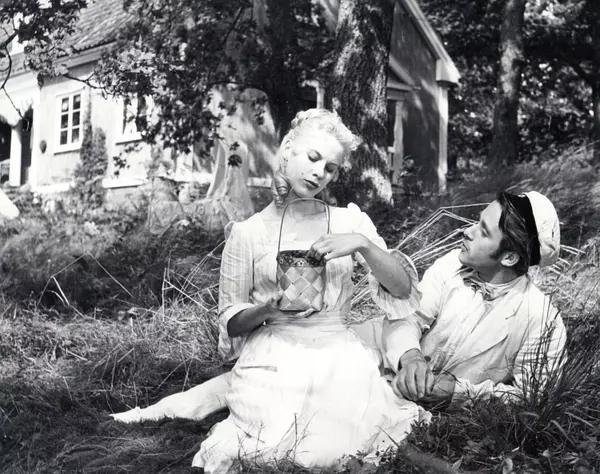 最震撼的公路电影，这10部震撼人心的公路片