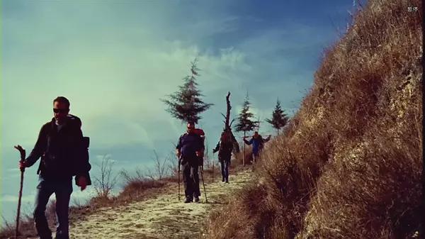 最震撼的公路电影，这10部震撼人心的公路片