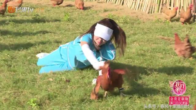 我们来了第二季阵容，我们来了2会员版真好看