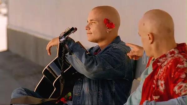 最震撼的公路电影，这10部震撼人心的公路片