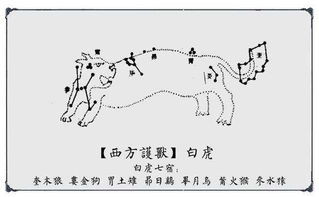 不管怎么样都要努力活着，只要努力活下去