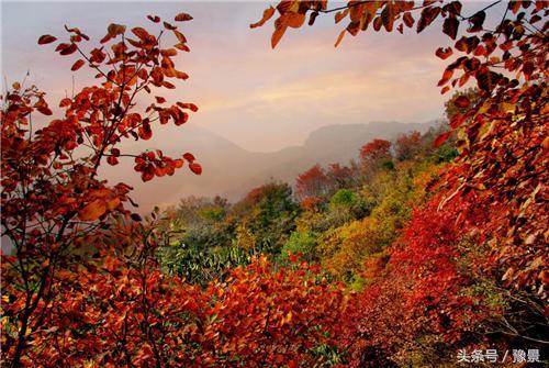 大鸿寨景区 旅游攻略，河南省内短途自驾旅行攻略都在这了