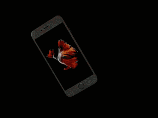 微信怎么制作动态gif图，制作动图的好用教程来了