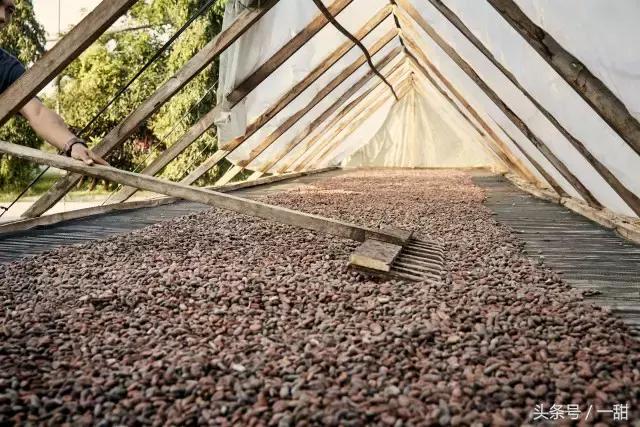 纯可可脂和代可可脂的区别，6种面包不要随便买