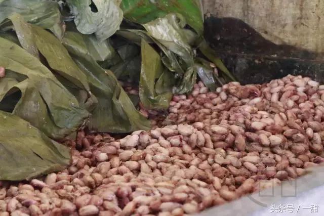 纯可可脂和代可可脂的区别，6种面包不要随便买