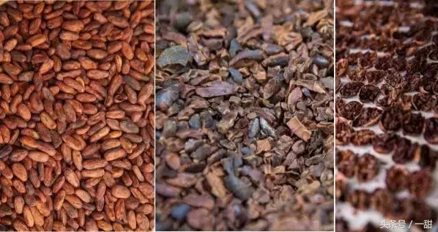 纯可可脂和代可可脂的区别，6种面包不要随便买