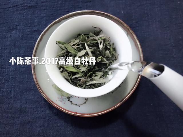 什么样的白茶是最好的，8个关于白茶的问答