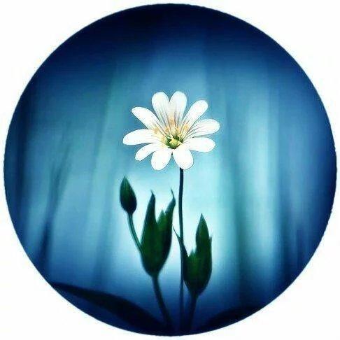 晚安感悟170918：逢人且说三分话，不可全抛一片心