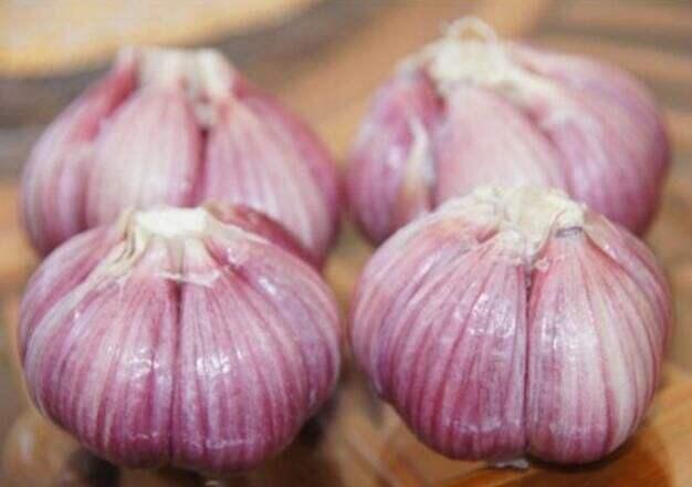 牙痛怎么办快速止痛，牙齿痛得怎么快速止痛（牙疼是怎么回事）