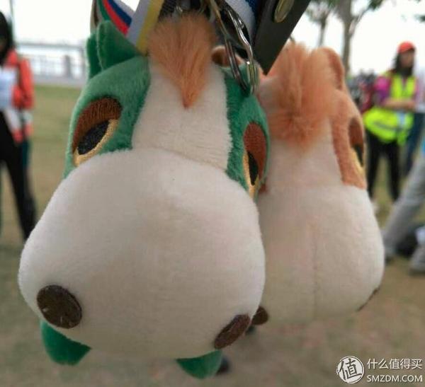 深圳百公里徒步，徒步百公里总结（深圳户外徒步活动—香港麦理浩径二段）