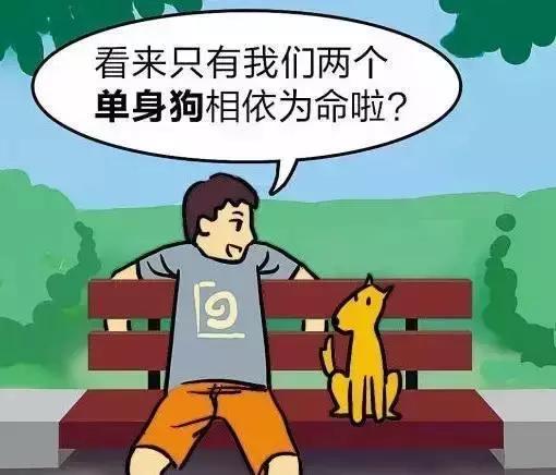 许昌被划为四线城市，许昌是四线城市吗