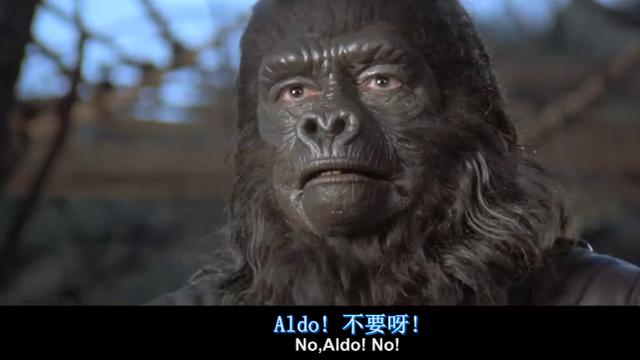 人猿星球与猩球崛起的关系，新版《人猿星球》即将开拍