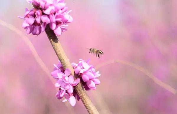 晚安美图170926：朋友，有你真好