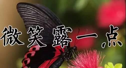 9月26日送你26张图26句话，太美