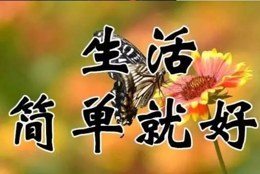 9月26日送你26张图26句话，太美