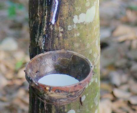 乳胶床垫的好处和坏处原来是这样，天天睡的乳胶床垫竟然还有这么多讲究