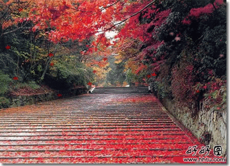早安问候语170928：一场秋雨一场寒，一份惦念暖心头