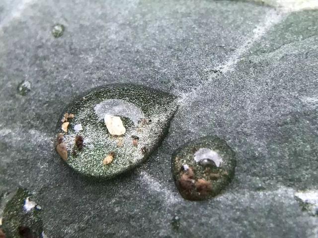 高颜值创意礼物清单，你想送的心意都在这里