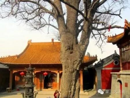 厦门市区免费的景点推荐，近郊游的小伙伴看过来