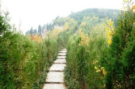 厦门市区免费的景点推荐，近郊游的小伙伴看过来