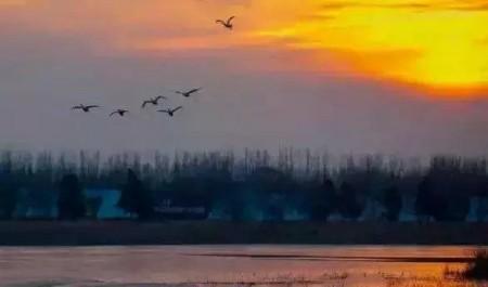 厦门市区免费的景点推荐，近郊游的小伙伴看过来