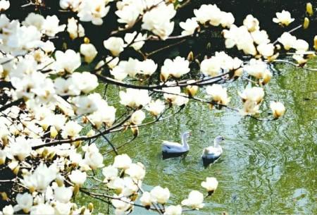 厦门市区免费的景点推荐，近郊游的小伙伴看过来