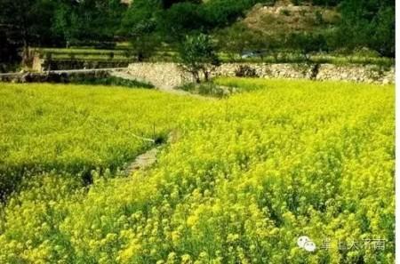 厦门市区免费的景点推荐，近郊游的小伙伴看过来