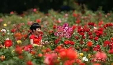 厦门市区免费的景点推荐，近郊游的小伙伴看过来