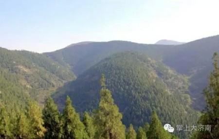 厦门市区免费的景点推荐，近郊游的小伙伴看过来